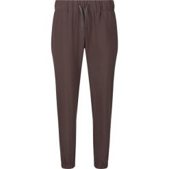 Damskie spodnie dresowe Athlecia Austberg. Brązowe spodnie sportowe damskie Endurance, z dresówki, na fitness i siłownię. Za 193.50 zł.