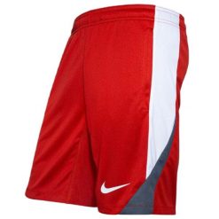 Odzież Męskie Nike. Czerwona szorty męskie Nike, na lato, bez wzorów. Za 174.99 zł.