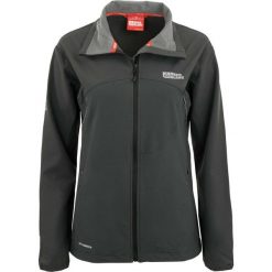 Damska kurtka softshell Nordblanc – cienka szara. Czarne kurtki damskie NORBERT BLANC SPORTS, bez wzorów, z softshellu, bez kaptura. Za 252.99 zł.