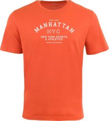 T-shirt męski Athl. Dpt Aster A0300 Pomarańczowy. Brązowe t-shirty męskie Erima, na lato, l, bez wzorów, z bawełny, bez kołnierzyka. Za 122.99 zł.