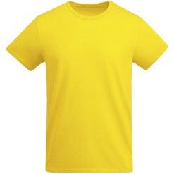 Męska Koszulka Breda Plain T-shirt. Żółte t-shirty męskie ROLY, m, bez wzorów, bez kołnierzyka. Za 42.99 zł.
