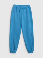 4F Spodnie dresowe joggery damskie - niebieskie S. Niebieskie spodnie dresowe damskie 4f, s, bez wzorów, z bawełny. Za 149.99 zł.