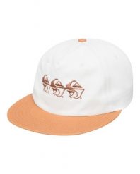 Czapka Snapback dla Mężczyzn QS FRASSNASSA Brązowy. Brązowe czapki męskie Quiksilver, bez wzorów, z bawełny. Za 139.70 zł.