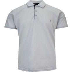 Koszulka POLO Szara Casualowa, Krótki Rękaw z Kołnierzykiem, Jednokolorowa -EXPOMAN. Szare koszulki polo męskie Expoman, m, bez wzorów, z bawełny, bez ramiączek. Za 109.00 zł.