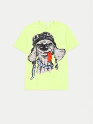 Coccodrillo T-Shirt ZC4143202VBA Zielony Regular Fit. Zielone t-shirty chłopięce COCCODRILLO, bez wzorów, z bawełny, bez ramiączek. Za 29.99 zł.