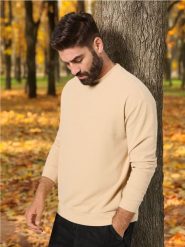 Bluza - beżowy. Brązowe bluzy bez kaptura męskie Sinsay, l. W wyprzedaży za 29.99 zł.
