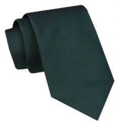 Modny Krawat Męski - Alties - Butelkowa Zieleń, Jednokolorowy. Zielone krawaty i muchy męskie Alties, bez wzorów, z tkaniny, eleganckie. Za 49.00 zł.