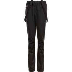 Spodnie narciarskie Endurance Zora XCS. Czarne spodnie materiałowe damskie Endurance, bez wzorów, z poliesteru, eleganckie. Za 249.99 zł.