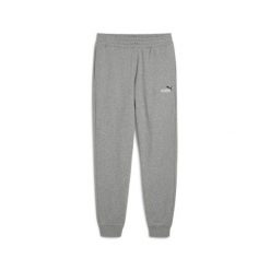 Puma Spodnie Ess 2 Color No.1 Logo Tr Cl 68471403. Szare spodnie materiałowe męskie Puma, bez wzorów. Za 149.00 zł.
