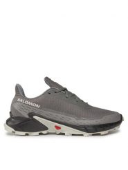 Salomon Buty do biegania Alphacross 5 473133 29 W0 Szary. Szare obuwie do biegania damskie Salomon. Za 429.99 zł.