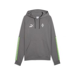 Męska bluza z kapturem Borussia Mönchengladbach FtblKING PUMA. Szare bluzy z kapturem męskie Puma, m, z bawełny. Za 299.00 zł.