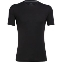 Koszulka męska Icebreaker Anatomica SS Crewe Snow T-Shirt. Czarne t-shirty męskie Icebreaker, m, bez wzorów, z wełny, bez kołnierzyka. Za 229.99 zł.