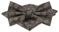 Mucha Męska w Zestawie z Poszetką - Alties - Popiel i Brąz, Paisley. Szare krawaty i muchy męskie Alties, bez wzorów, eleganckie. Za 65.00 zł.