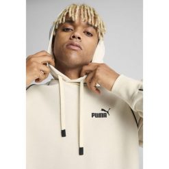 Męska bluza z kapturem PUMA Sport PUMA Alpine Snow White. Białe bluzy sportowe męskie Puma, bez wzorów, z gumy, sportowe, bez kołnierzyka, bez ramiączek. W wyprzedaży za 227.95 zł.