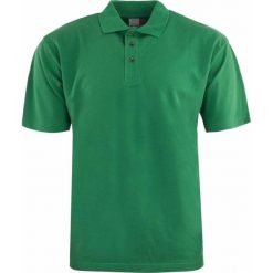 Męska koszulka polo Promodoro Heavy Kelly Green. Zielone koszulki polo męskie 47 Brand, m, bez wzorów, z bawełny, bez ramiączek. Za 49.28 zł.