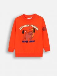 Coccodrillo Bluza w kolorze pomarańczowym rozmiar: 68. Pomarańczowe bluzy i bluzki niemowlęce COCCODRILLO, bez wzorów, z bawełny, bez ramiączek, bez kaptura. Za 30.99 zł.