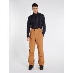 Spodnie męskie Protest PRTSARDIS snowpants. Brązowe spodnie materiałowe męskie Protest, bez wzorów, sportowe. Za 399.00 zł.