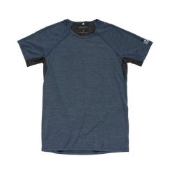 Koszulka termoaktywna Devold Endurance Merino 130 Tee. Niebieskie t-shirty sportowe męskie Devold, l, z materiału, bez ramiączek, na fitness i siłownię. Za 324.49 zł.