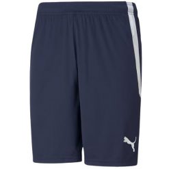 Męskie Spodenki Team Liga. Niebieskie szorty męskie Puma, bez kołnierzyka. Za 143.99 zł.