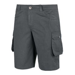 Męskie Spodenki Askja. Szare szorty męskie Alpinus, bez wzorów, sportowe. Za 228.99 zł.