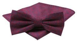 Mucha Męska z Poszetką w Zestawie - Alties - Czerwień w Drobny Wzór. Czerwone krawaty i muchy męskie Alties, bez wzorów, eleganckie. Za 54.00 zł.