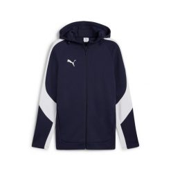 Bluza z kapturem Puma Team Evostripe. Niebieskie bluzy z kapturem męskie Puma. Za 380.00 zł.