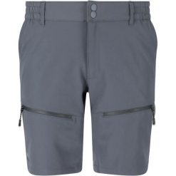 Szorty Whistler Avatar. Niebieskie szorty męskie WHISTLER, bez wzorów, sportowe. Za 248.50 zł.