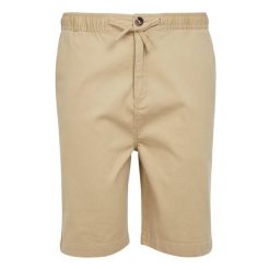Shorty Męskie Chino Aldan. Brązowe szorty męskie Regatta, bez wzorów, sportowe. Za 80.99 zł.