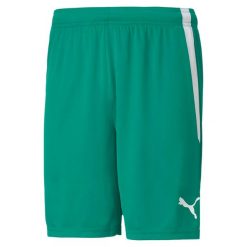 Szorty Puma Team Liga. Białe szorty męskie Puma, z materiału, bez kołnierzyka. Za 66.99 zł.