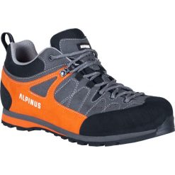 Buty trekkingowe dla dorosłych Alpinus The Ridge Low Pro. Brązowe buty trekkingowe męskie Alpinus, bez zapięcia, trekkingowe. Za 499.00 zł.