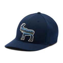 COLUMBIA Czapka z daszkiem Lost Lager 110 Snap Back colegiate navy. Niebieskie czapki z daszkiem damskie Columbia, bez wzorów. Za 73.40 zł.