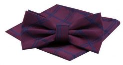 Mucha Męska z Poszetką Alties - Bordo w Kratkę. Czerwone krawaty i muchy męskie Alties, bez wzorów, eleganckie. Za 54.00 zł.