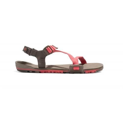 Buty trekkingowe damskie Xero Shoes Z-trail Ev. Brązowe obuwie trekkingowe damskie XERO SHOES, na lato. Za 469.00 zł.