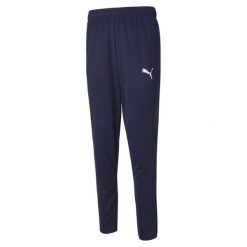 Spodnie Mężczyzna Puma Active niebieski. Fioletowe spodnie sportowe męskie Puma, z dresówki. Za 201.10 zł.