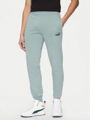 Puma Spodnie dresowe Ess No. 1 Logo 682609 Zielony Regular Fit. Zielone spodnie dresowe męskie Puma, bez wzorów, z dresówki. Za 109.99 zł.