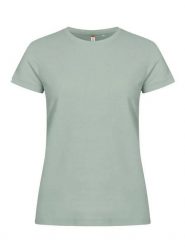 Clique Basic-T Women Dopasowana koszulka z bawełny - Sage Green. Zielone t-shirty damskie CLIQUE, s, bez wzorów, z bawełny, bez kołnierzyka. Za 97.35 zł.