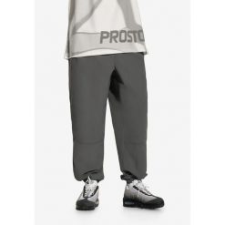 Spodnie sportowe męskie Prosto Pixo. Szare spodnie sportowe męskie Prosto. Za 274.99 zł.