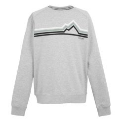 Męska Bluza Z Okrągłym Dekoltem Nithsdale Linear Mountain. Szare bluzy bez kaptura męskie Regatta, m. Za 75.99 zł.