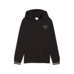 Młodzieżowa bluza z kapturem PUMA Class z grafiką PUMA. Szara bluzy z kapturem męskie Puma, na wiosnę, m, z bawełny. Za 174.00 zł.