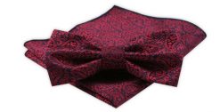 Zestaw: Mucha z Poszetką - Alties - Czerwona, Wzór Paisley. Czerwone krawaty i muchy męskie Alties, bez wzorów, eleganckie. Za 54.00 zł.
