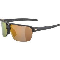Okulary przeciwsłoneczne Alpina SWIFT HR. Czarne okulary przeciwsłoneczne damskie Alpina. Za 245.50 zł.