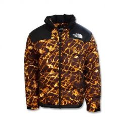 Kurtka uniwersalna damska The North Face NF0A3Y23OS3. Brązowe kurtki damskie The North Face, l, bez wzorów, z syntetyku, bez kaptura. Za 1,081.00 zł.