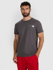 4F T-shirt regular z nadrukiem męski - szary L. Szare t-shirty męskie 4f, l, bez wzorów, z bawełny, bez kołnierzyka. Za 49.99 zł.