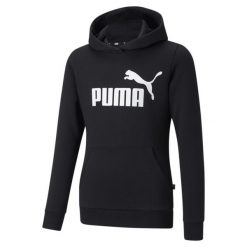 Młodzieżowa bluza z kapturem z logo Essentials PUMA Black. Czarna bluzy z kapturem damskie Puma, m, z bawełny. Za 137.55 zł.