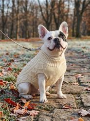Sweter dla zwierząt z warkoczowym splotem - beżowy. Brązowe swetry klasyczne damskie Sinsay, ze splotem, bez kołnierzyka. Za 15.99 zł.