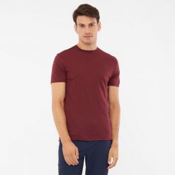 T-shirt męski VIKING Salen Man Merino. Brązowe t-shirty męskie VIKING, m, bez wzorów, bez kołnierzyka. Za 219.90 zł.