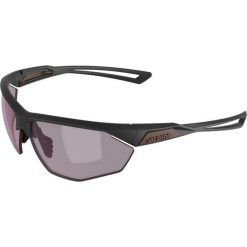 Okulary przeciwsłoneczne Alpina Nylos HR. Szare okulary przeciwsłoneczne damskie Alpina. Za 139.99 zł.