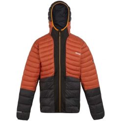 Męska Kurtka Leedre Hybrid Padded Jacket. Czarne kurtki męskie Regatta, m, bez wzorów, z puchu, sportowe, bez kaptura. Za 176.99 zł.