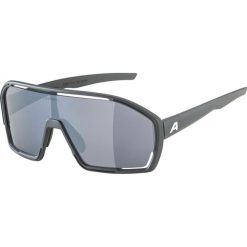 Okulary sportowe Bonfire ALPINA FOGSTOP szary. Czarne okulary przeciwsłoneczne męskie Alpina. Za 139.99 zł.