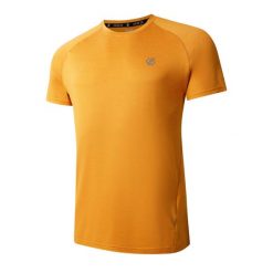 T-shirt Męski Melanżowy Persist. Szare t-shirty męskie Dare 2b, m, bez wzorów, bez kołnierzyka. Za 91.99 zł.